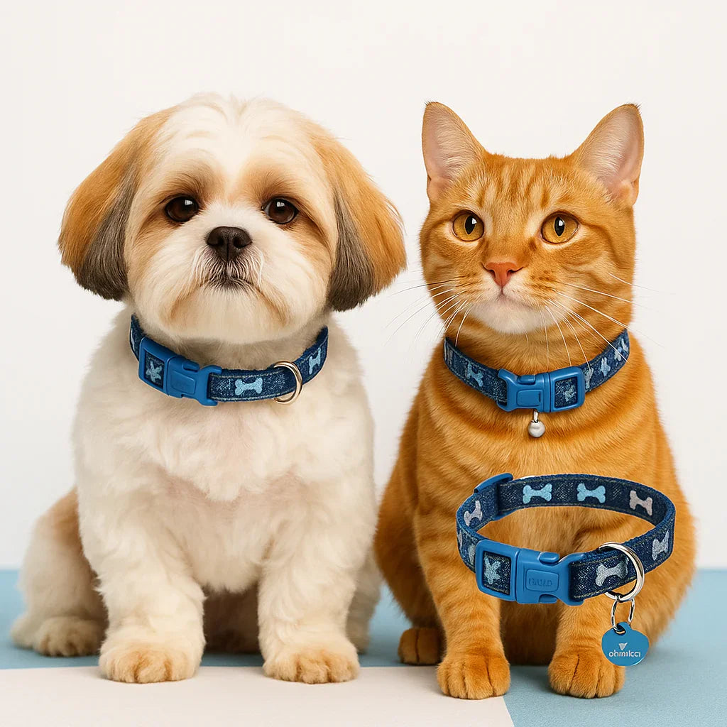 Denim Cat Collar with Bones Print – Adjustable, Safe & Comfort Fit, small pet front view