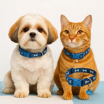 Denim Cat Collar with Bones Print – Adjustable, Safe & Comfort Fit, small pet front view