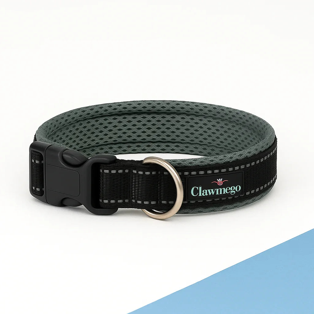 Clawmego Adjustable Padded Dog Collar – Reflective, Comfort Fit Pet Accessory- Lifestyle view