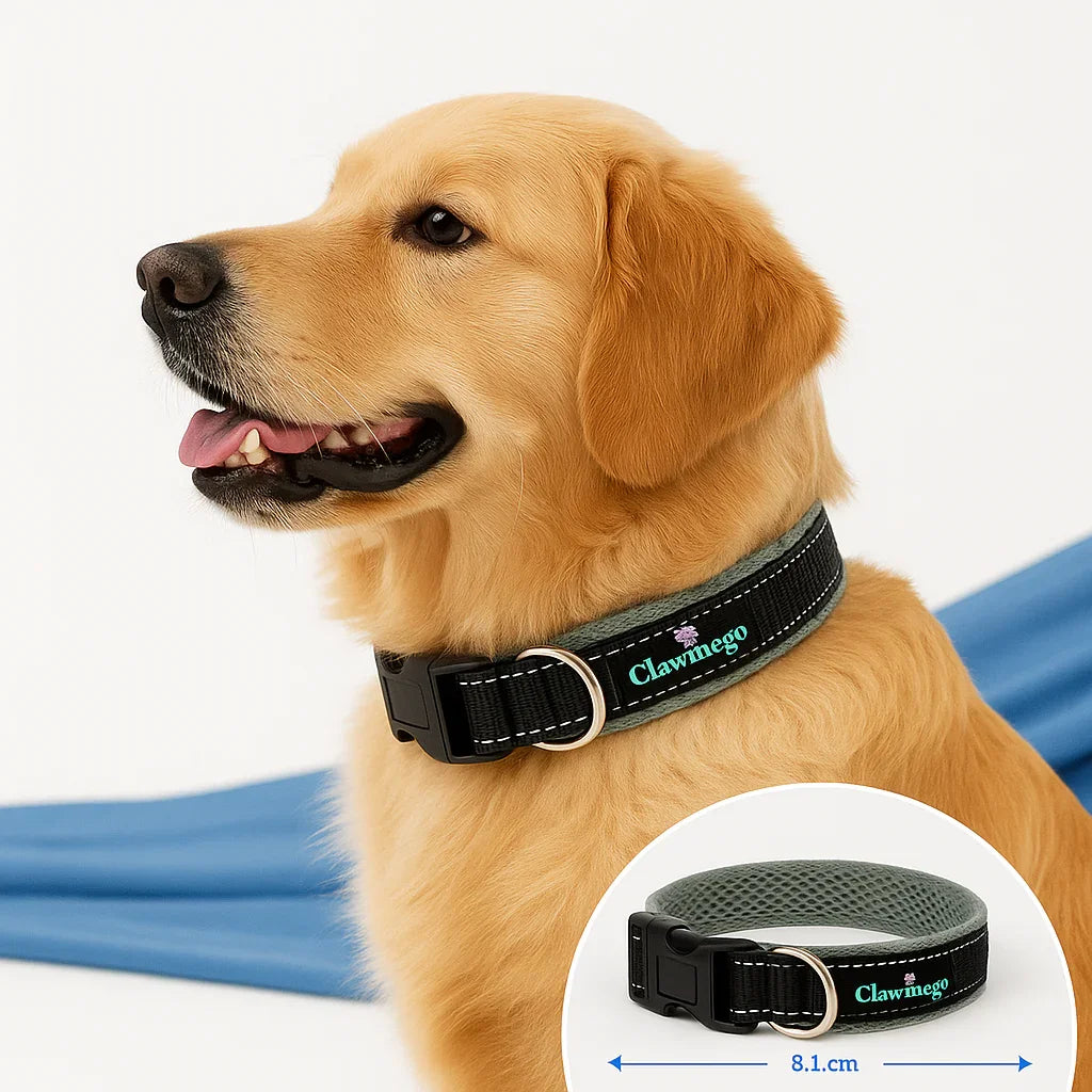 Clawmego Adjustable Padded Dog Collar – Reflective, Comfort Fit Pet Accessory- Lifestyle view