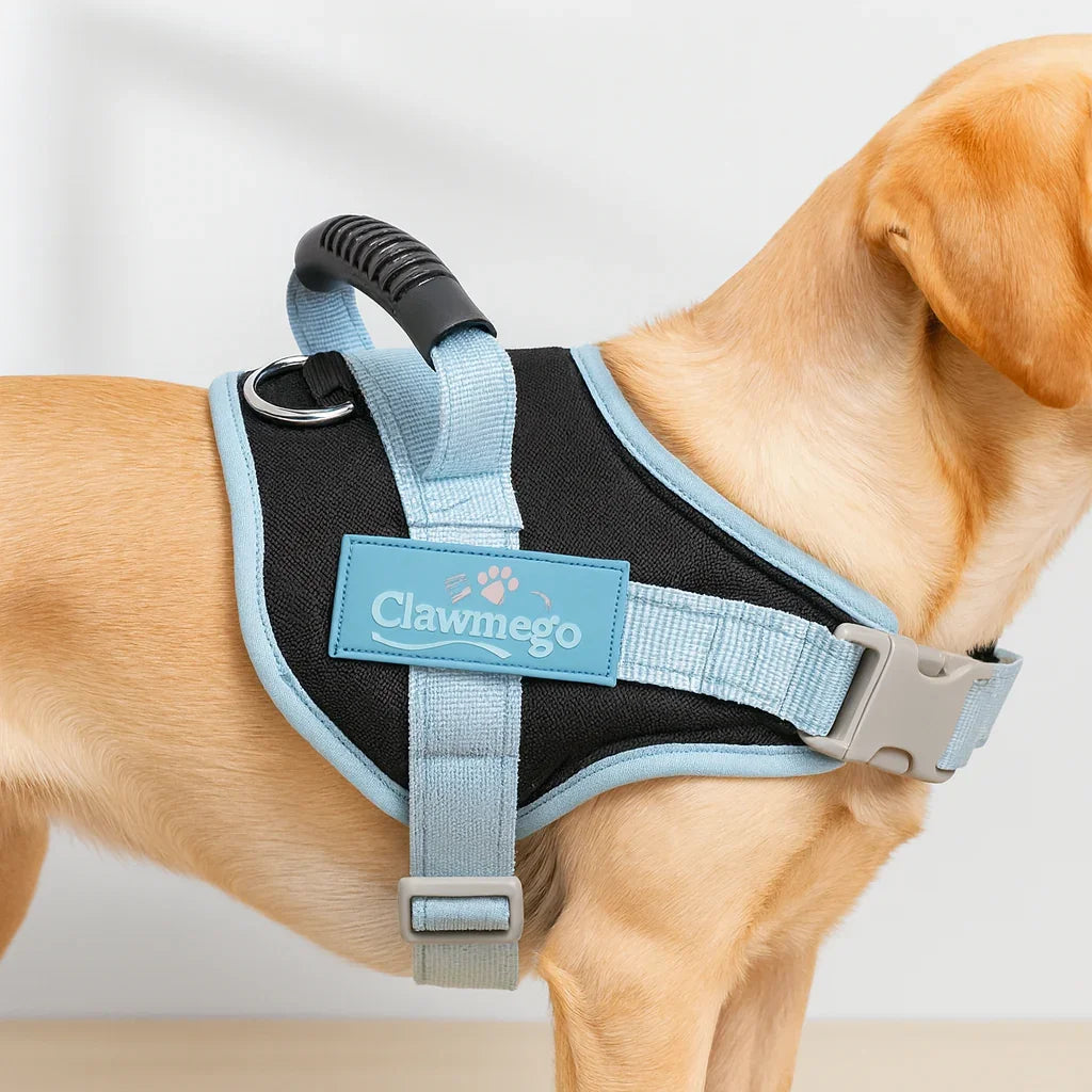 Daily Walk Adjustable Dog Harness – Comfort Fit by Clawmego- Product view