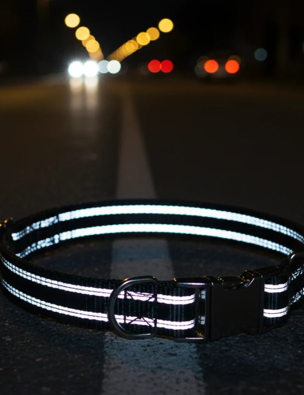 Reflective Adjustable Dog Collar – Durable, Comfort Fit | Clawmego- Closeup view 