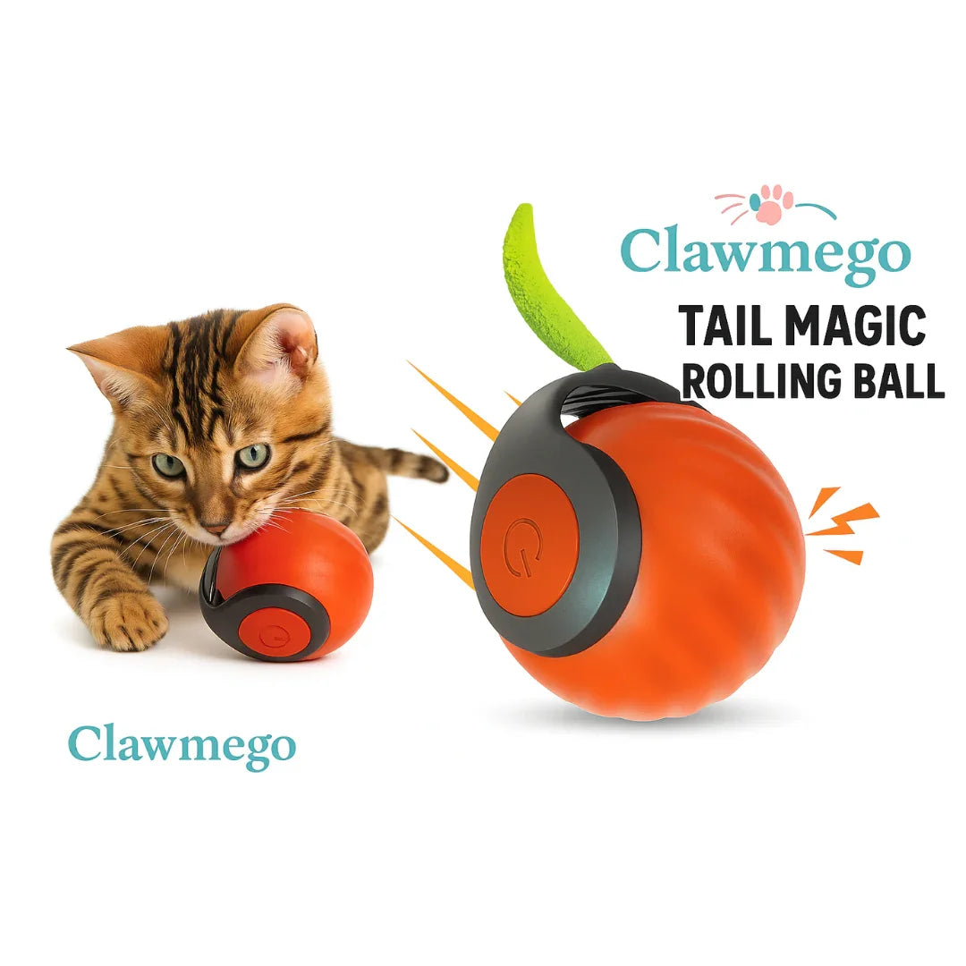 Tail Magic Rolling Ball – Interactive Smart Pet Toy, Auto-Rolling & Durable- Product view 